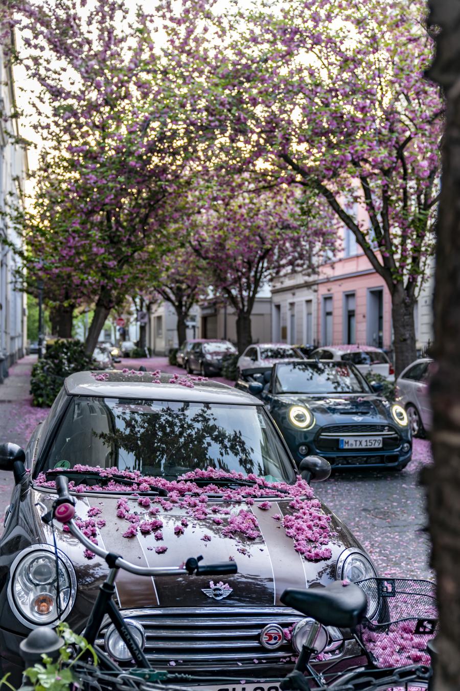  Mini Cooper S Cabrio Sidewalk (F57) 2020 года  (WW) (фото 42 из 53)